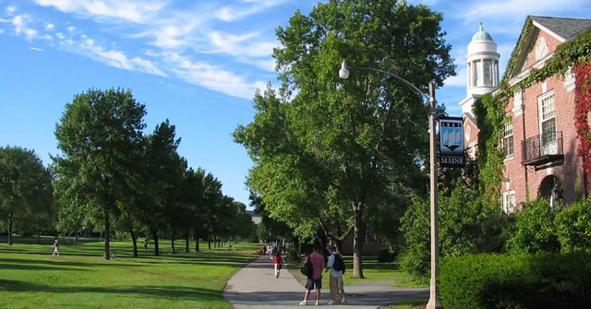 A paved pathway lined with trees, people walking, and a building with a white cupola in the background. A banner on a lamppost reads "Maine." Blue sky and scattered clouds overhead, inviting students to explore the scenic University of Maine campus.