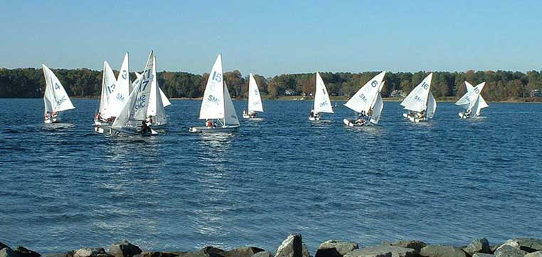 A group of sailboats with numbered sails from St. Mary's College of Maryland are navigating on a calm body of water near a rocky shoreline, under a clear sky. Trees are visible in the background, creating an idyllic scene reminiscent of the college's stunning waterfront campus.