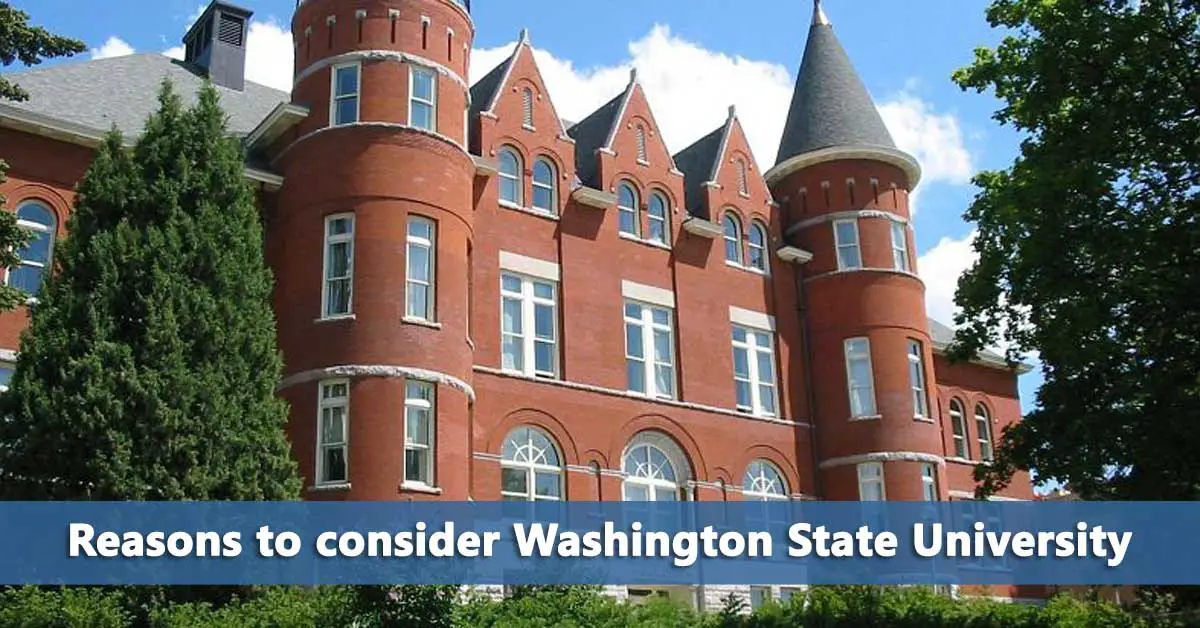 50-50 Profile: Washington State University - Do It Yourself College ...