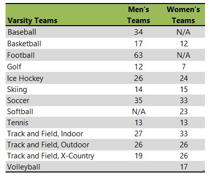 College of St. Scholastica team listing