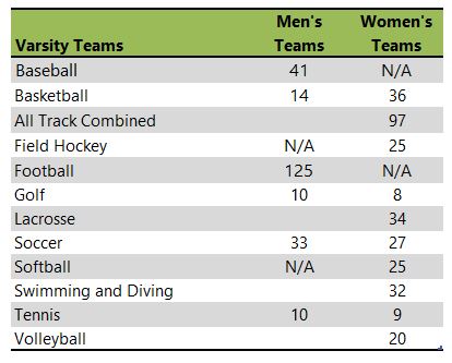 James Madison University athletic teams