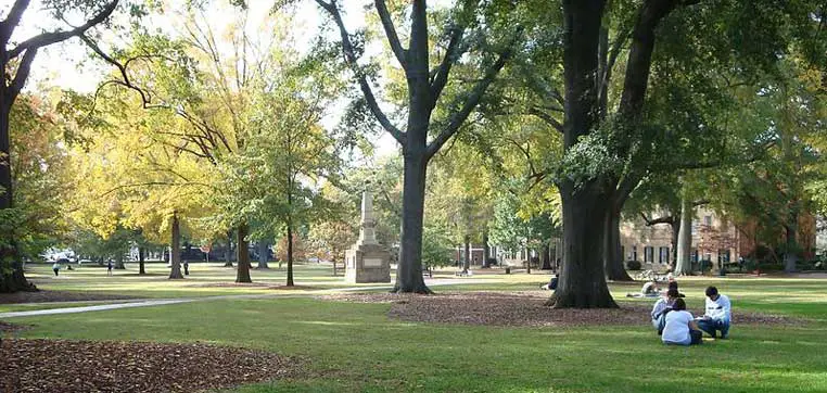 People are sitting on the grass in a park with tall trees and a monument in the background on a sunny day, much like students often do at the University of South Carolina between classes.