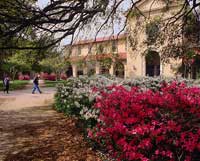 SEC School LSU quad