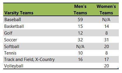 Saint Edward's University athletic team listing