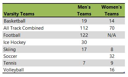 Michigan Technological University athletic teams listing