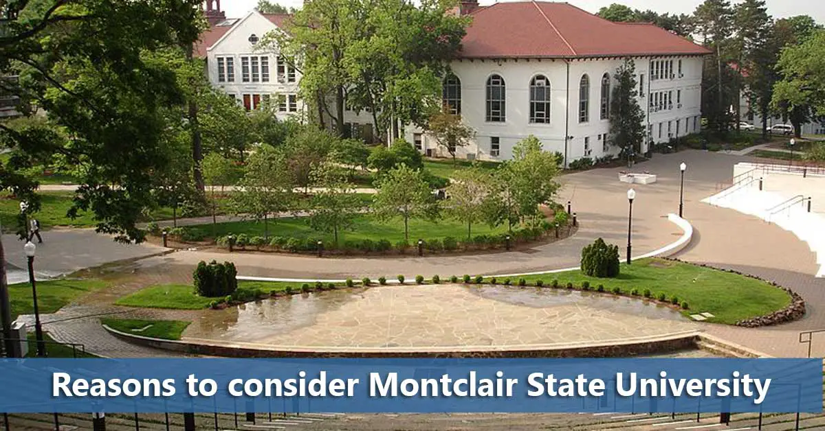 what is the essay prompt for montclair state university