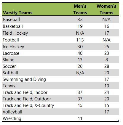 Plymouth State University athletic team listing