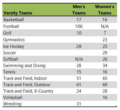 University of Wisconsin-Eau Claire athletic team listing