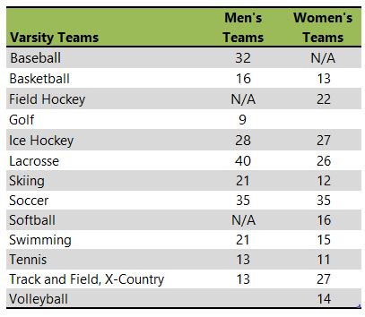 Saint Michael's College athletic team listing