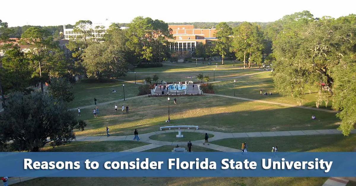 50-50 Profile: Florida State University - Do It Yourself College Rankings