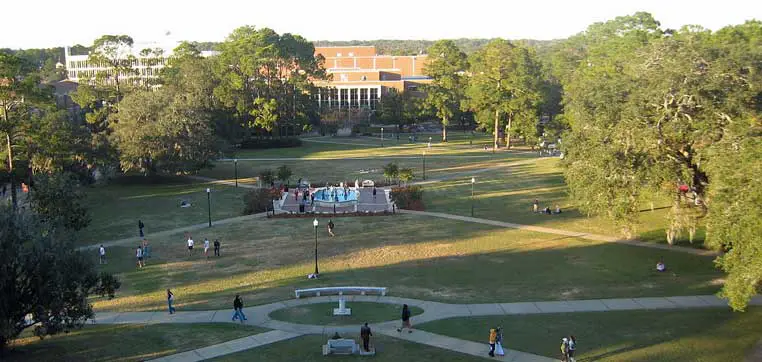 A campus scene shows a grassy quad with a central fountain, paths crossing the area, trees surrounding, and a few people walking or lounging. Buildings are visible in the background, reminiscent of a picturesque Florida State University profile.