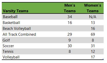 University of San Francisco athletic teams