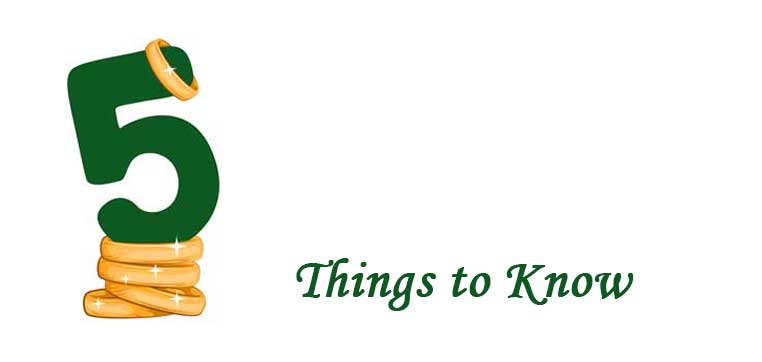 A green number 5 with a golden ring on top is standing on a small stack of golden rings, reminiscent of Day 5 from the "12 Days of Christmas." The text "Things to Know" is written beside it.