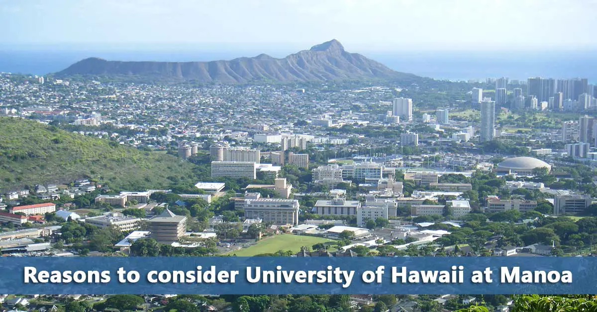 5050 Profile University of Hawaii at Manoa Do It Yourself College